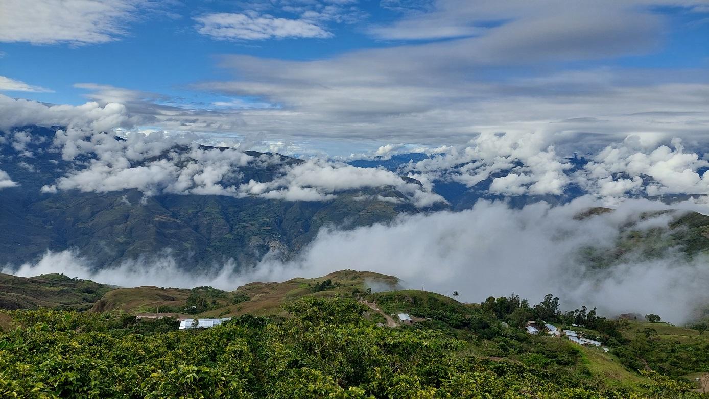 En este rincón de la tierra, creamos la magia del café